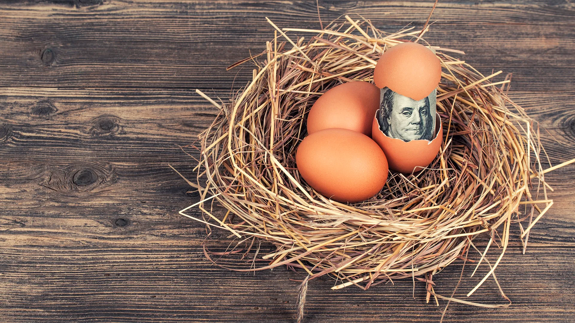 Egg with money in nest egg on wooden background.